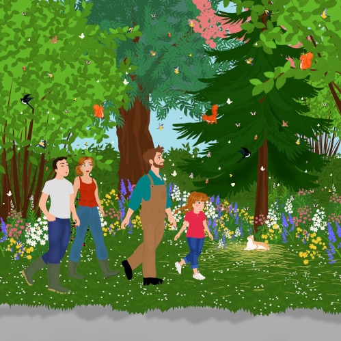 Illustration intérieure Anna et la haie de M. Rémi